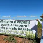 Agro Campo movimentou o setor agropecuário com Dia de Campo em Amambai