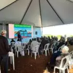 Agro Campo movimentou o setor agropecuário com Dia de Campo em Amambai