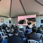 Agro Campo movimentou o setor agropecuário com Dia de Campo em Amambai