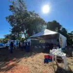 Agro Campo movimentou o setor agropecuário com Dia de Campo em Amambai