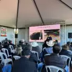 Agro Campo movimentou o setor agropecuário com Dia de Campo em Amambai