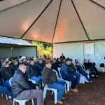 Agro Campo movimentou o setor agropecuário com Dia de Campo em Amambai