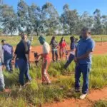 Mais de 150 alunos participam do lançamento de foguetes da OBA em Paranhos