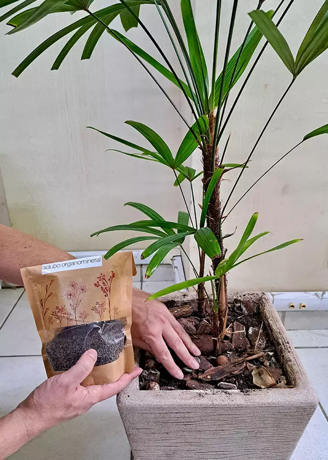 Fertilizante sustentável da Embrapa mira consumidor urbano com plantas em casa Fertilizante sustentável da Embrapa mira consumidor urbano com plantas em casa