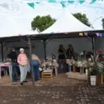 “Arraiá das Tradições” movimenta final de semana cultural em Iguatemi com exposição e apresentações musicais e de danças