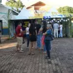 “Arraiá das Tradições” movimenta final de semana cultural em Iguatemi com exposição e apresentações musicais e de danças
