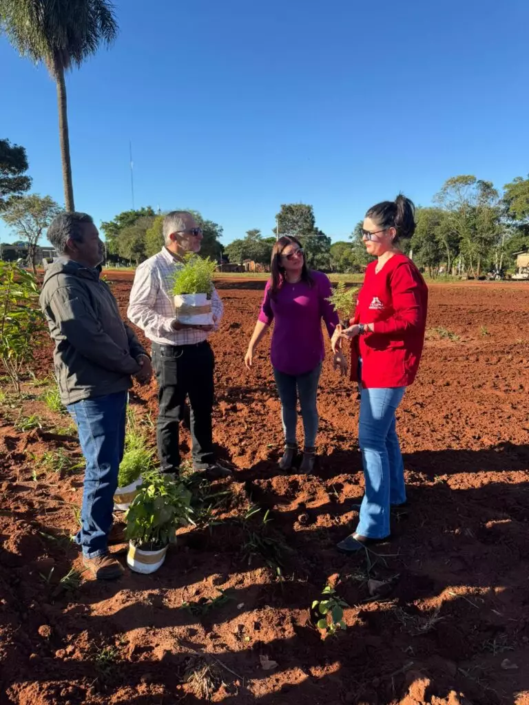 Arborização na Linha Internacional une Ypejhú e Paranhos em ação conjunta Arborização na Linha Internacional une Ypejhú e Paranhos em ação conjunta