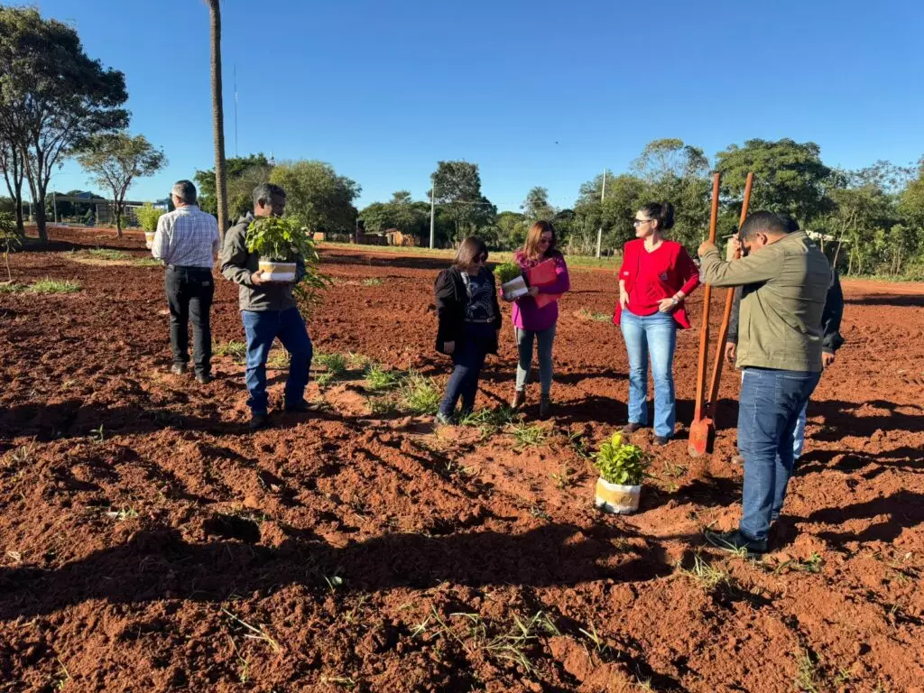 Arborização na Linha Internacional une Ypejhú e Paranhos em ação conjunta Arborização na Linha Internacional une Ypejhú e Paranhos em ação conjunta