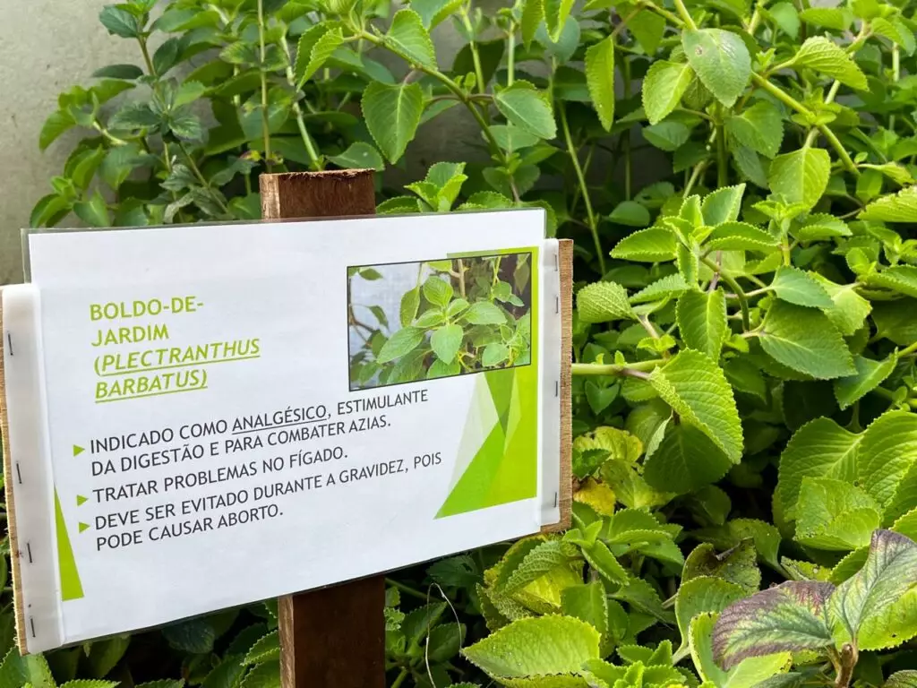 Amambai realiza Semana do Meio Ambiente com programação educativa nas escolas, praças e aldeias Amambai realiza Semana do Meio Ambiente com programação educativa nas escolas, praças e aldeias