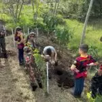 Conscientização e Ação: Semana do Meio Ambiente mobiliza Amambai com educação, parceria e plantio de mudas