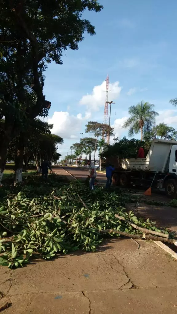 Cel. Sapucaia: Prefeitura intensifica poda de galhos para melhorar iluminação pública e garantir mais segurança