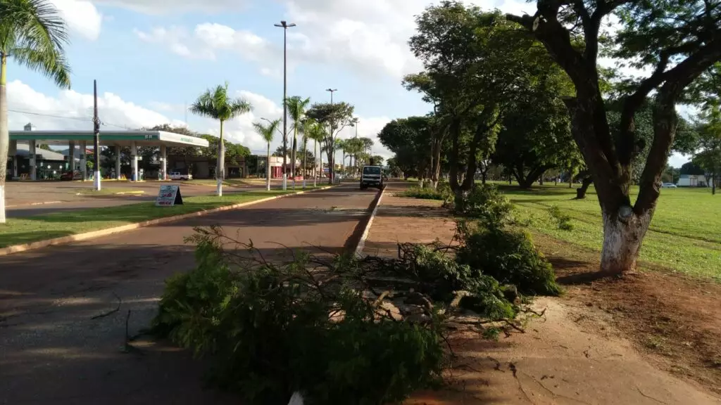 Cel. Sapucaia: Prefeitura intensifica poda de galhos para melhorar iluminação pública e garantir mais segurança