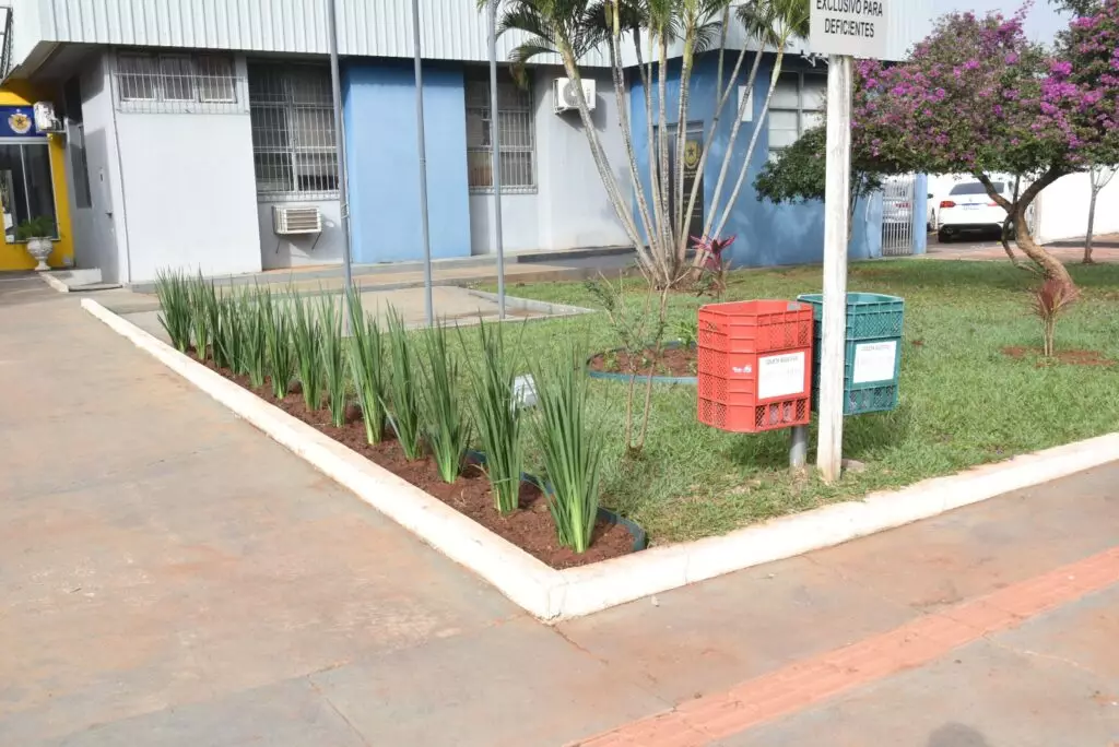 Curso “Floricultura, Jardinagem e Paisagismo” capacita servidores da Secretaria de Meio Ambiente e Turismo de Iguatemi Curso “Floricultura, Jardinagem e Paisagismo” capacita servidores da Secretaria de Meio Ambiente e Turismo de Iguatemi