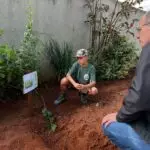 Conscientização e Ação: Semana do Meio Ambiente mobiliza Amambai com educação, parceria e plantio de mudas