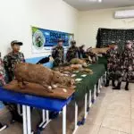 Conscientização e Ação: Semana do Meio Ambiente mobiliza Amambai com educação, parceria e plantio de mudas