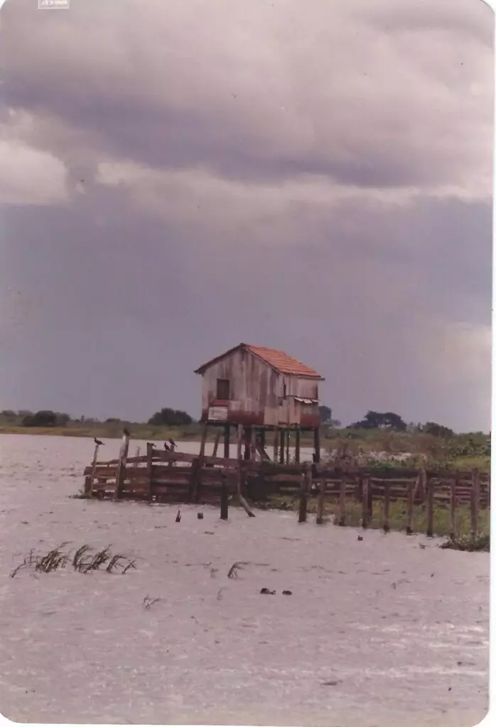 Câmara de Campo Grande homenageia amambaiense, Mestre em Meio Ambiente, pela dedicação à preservação ambiental Câmara de Campo Grande homenageia amambaiense, Mestre em Meio Ambiente, pela dedicação à preservação ambiental