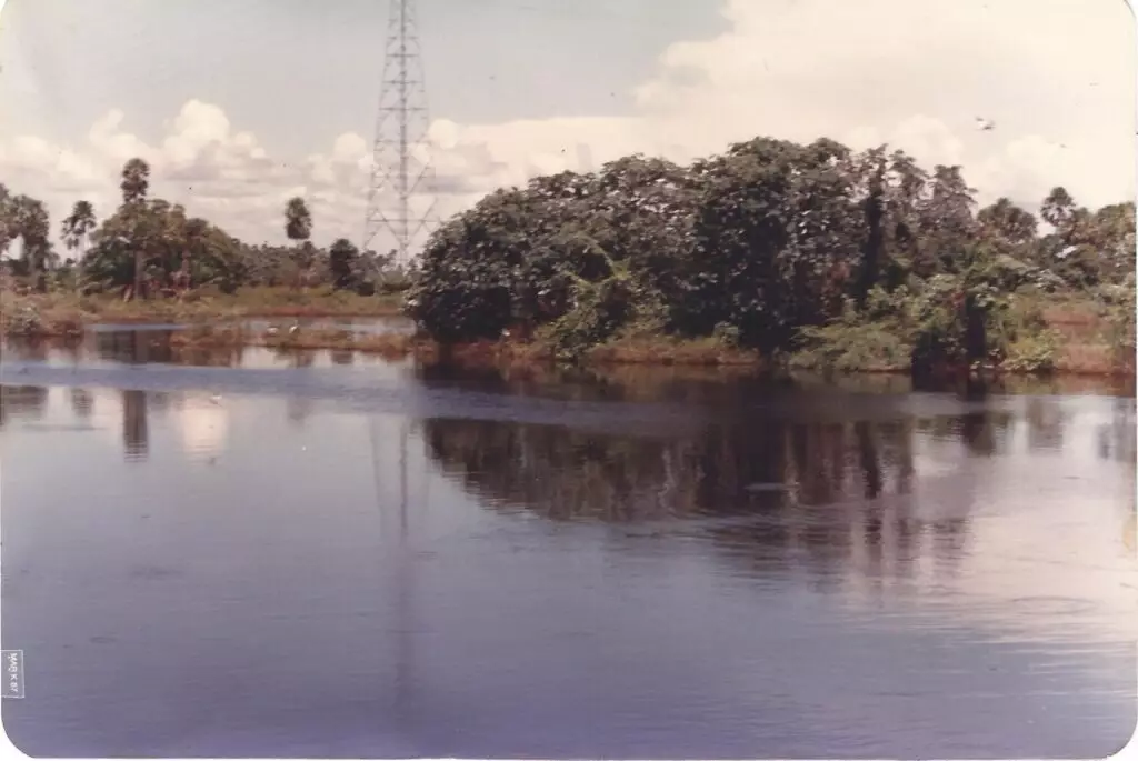 Câmara de Campo Grande homenageia amambaiense, Mestre em Meio Ambiente, pela dedicação à preservação ambiental Câmara de Campo Grande homenageia amambaiense, Mestre em Meio Ambiente, pela dedicação à preservação ambiental