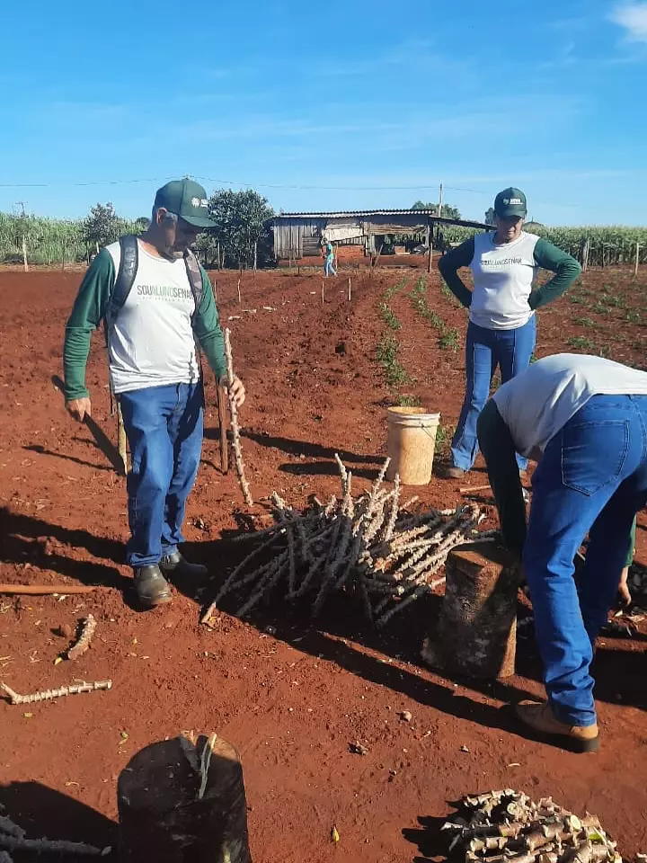 Agricultores familiares concluem cursos sobre cultivo de mandioca e empreendedorismo feminino em Aral Moreira Agricultores familiares concluem cursos sobre cultivo de mandioca e empreendedorismo feminino em Aral Moreira
