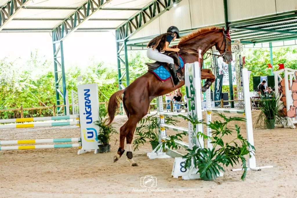 Amazona de Amambai é convocada para o Brasileiro de Hipismo do Rio de Janeiro Amazona de Amambai é convocada para o Brasileiro de Hipismo do Rio de Janeiro