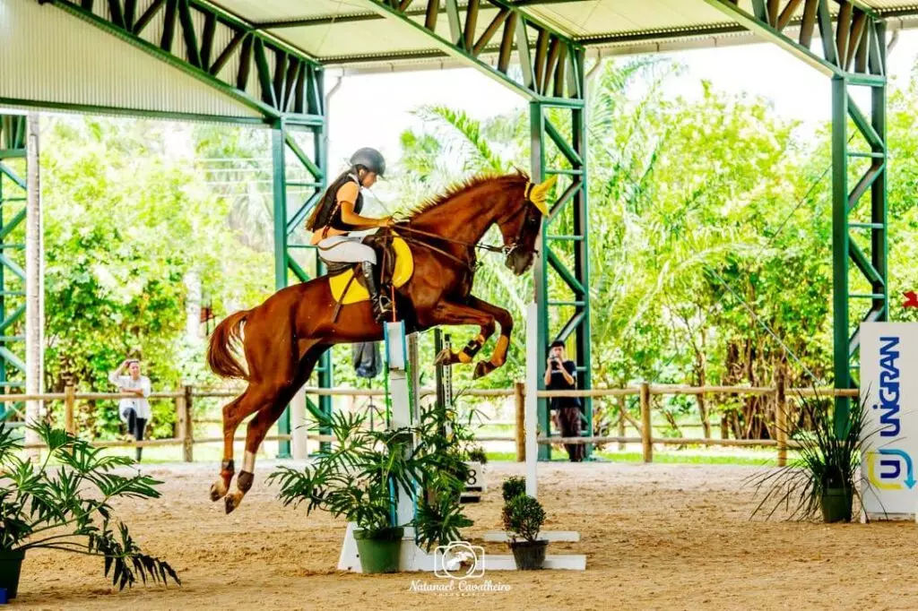 Amazona de Amambai é convocada para o Brasileiro de Hipismo do Rio de Janeiro Amazona de Amambai é convocada para o Brasileiro de Hipismo do Rio de Janeiro