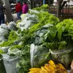 Amambai: Vila Cristina recebe mais uma entrega de alimentos do Programa de Aquisição de Alimentos (PAA)