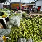 Amambai: Vila Cristina recebe mais uma entrega de alimentos do Programa de Aquisição de Alimentos (PAA)
