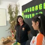 Colégio CELQ realiza Feira de Ciências 2025 em Amambai