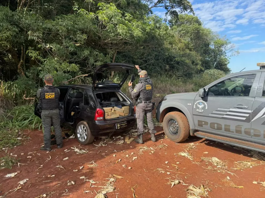 Veículo que seguia para São Paulo com 520 quilos de drogas é apreendido pelo DOF em Aral Moreira