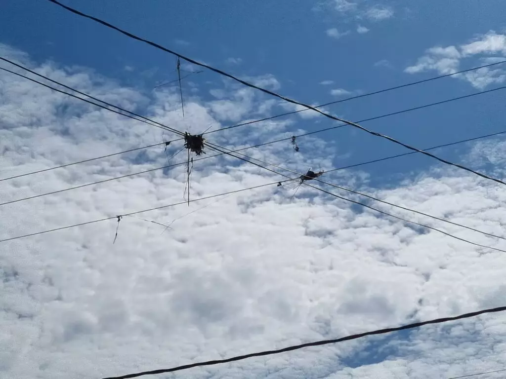 Energisa alerta sobre cuidados ao empinar pipas próximo à rede elétrica Energisa alerta sobre cuidados ao empinar pipas próximo à rede elétrica