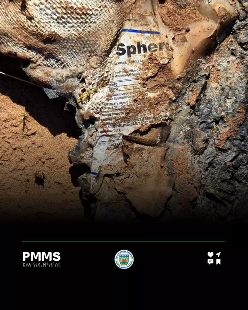 PMA flagra queima irregular de embalagens de agrotóxicos em Naviraí