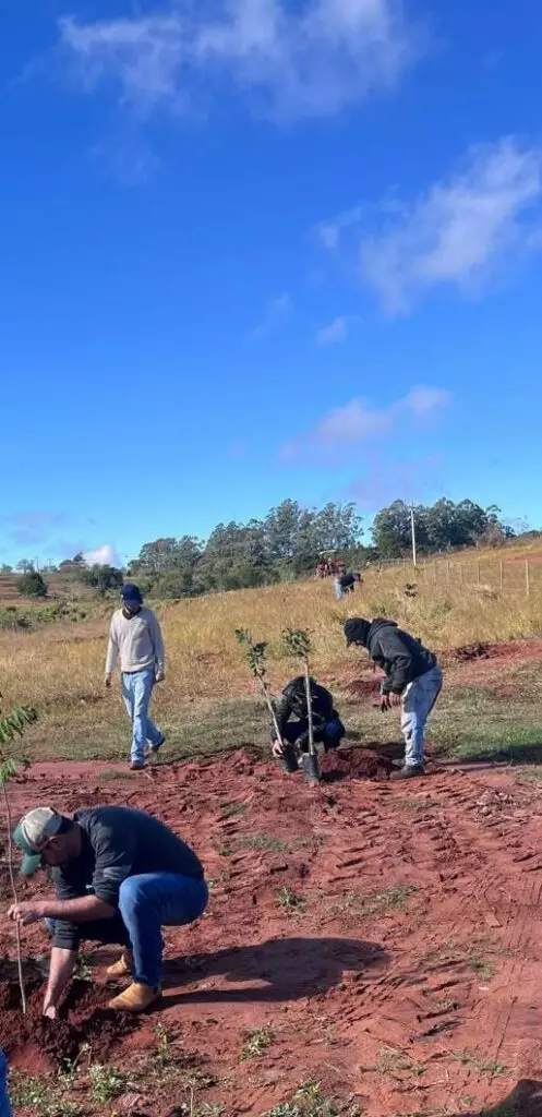 Cel. Sapucaia: Reflorestamento em área de preservação conta com parceria entre a Prefeitura e Sanesul