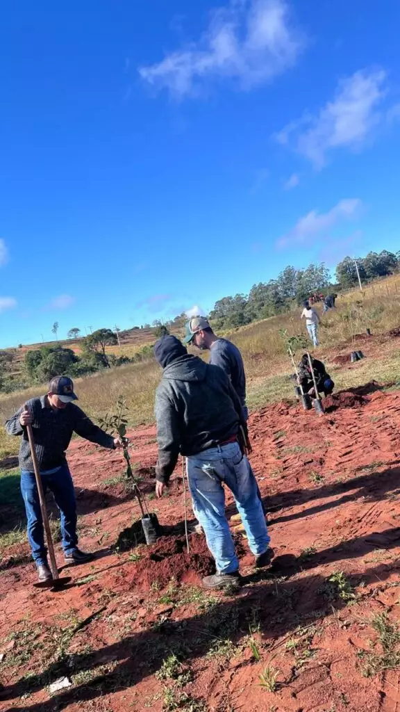 Cel. Sapucaia: Reflorestamento em área de preservação conta com parceria entre a Prefeitura e Sanesul