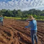 IFMS e Prefeitura de Amambai iniciam curso de formação em piscicultura com foco no desenvolvimento local