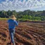 IFMS e Prefeitura de Amambai iniciam curso de formação em piscicultura com foco no desenvolvimento local