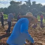 IFMS e Prefeitura de Amambai iniciam curso de formação em piscicultura com foco no desenvolvimento local