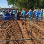 IFMS e Prefeitura de Amambai iniciam curso de formação em piscicultura com foco no desenvolvimento local