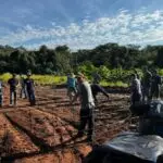 IFMS e Prefeitura de Amambai iniciam curso de formação em piscicultura com foco no desenvolvimento local