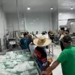 Produtores de leite participam de reunião com Agraer e Famalac para conhecer nova unidade em Tacuru