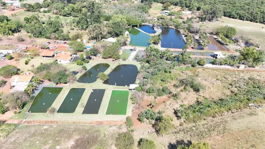 Prefeitura de Iguatemi realiza 1º Encontro Técnico de Piscicultura para fomentar a produção rural sustentável