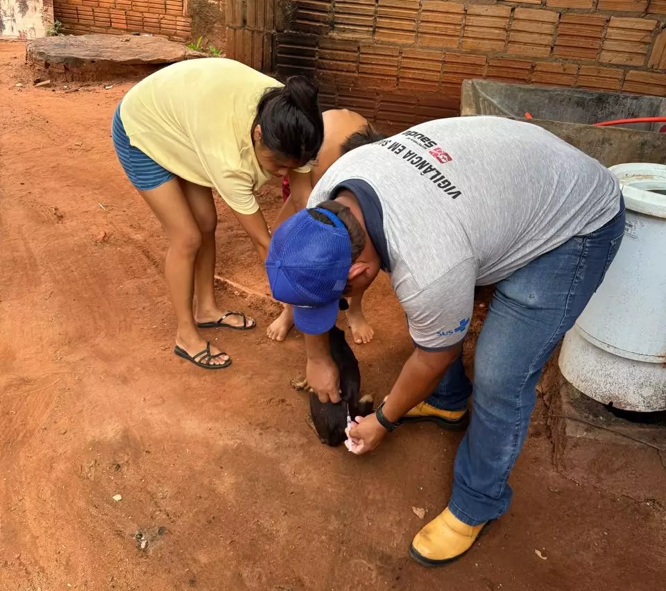Secretaria de Saúde de Iguatemi inicia campanha de vacinação antirrábica Secretaria de Saúde de Iguatemi inicia campanha de vacinação antirrábica