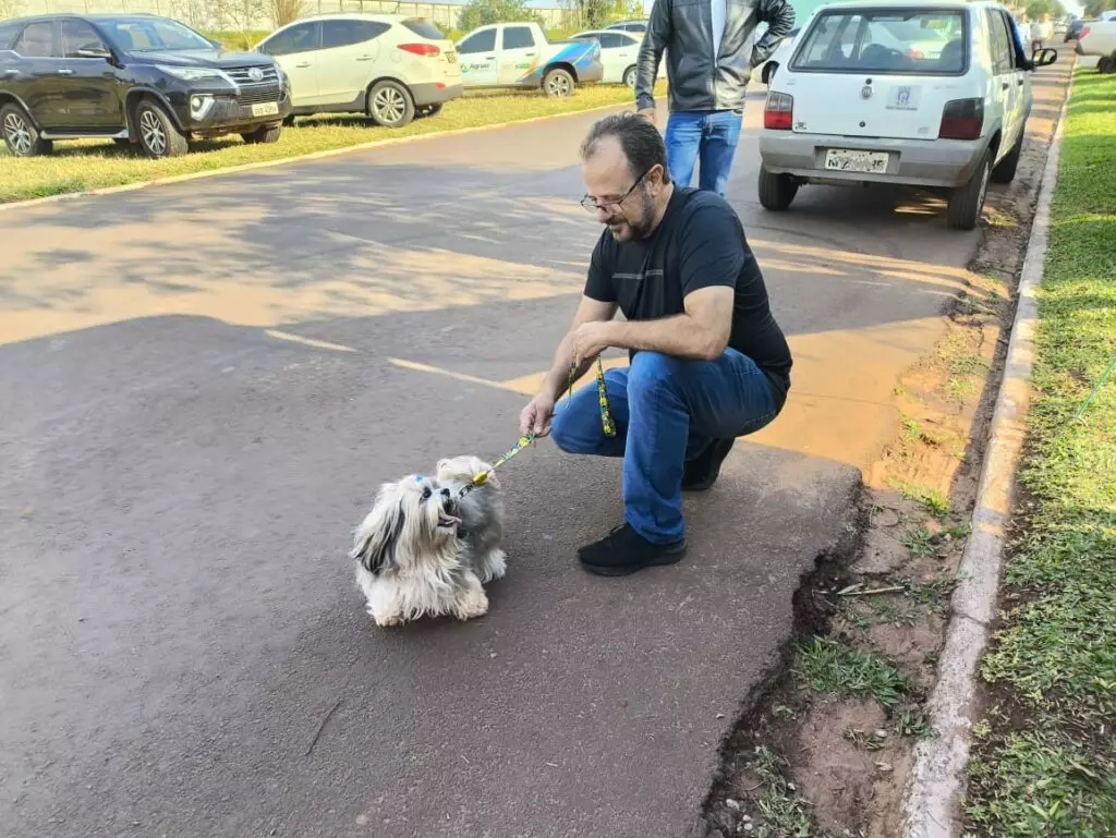 Secretaria de Saúde vacinou 260 animais durante o 1º Amaterra em Amambai