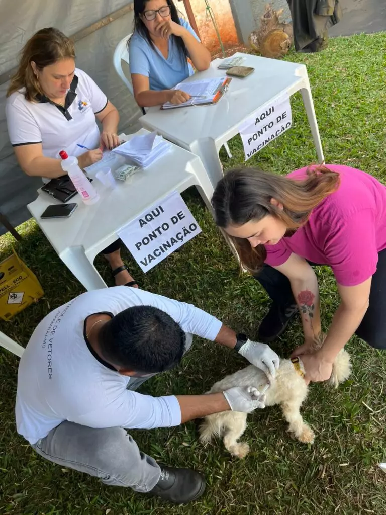 Secretaria de Saúde vacinou 260 animais durante o 1º Amaterra em Amambai