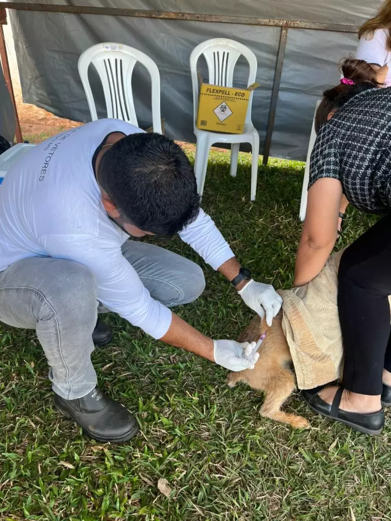 Secretaria de Saúde vacinou 260 animais durante o 1º Amaterra em Amambai