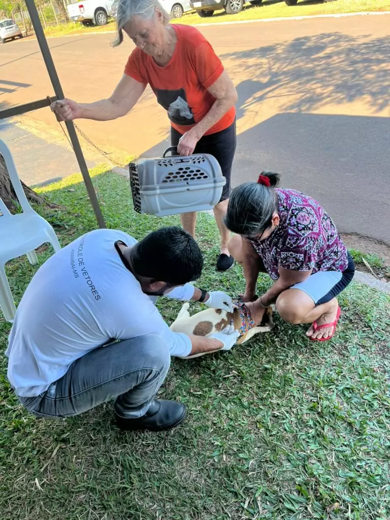 Secretaria de Saúde vacinou 260 animais durante o 1º Amaterra em Amambai