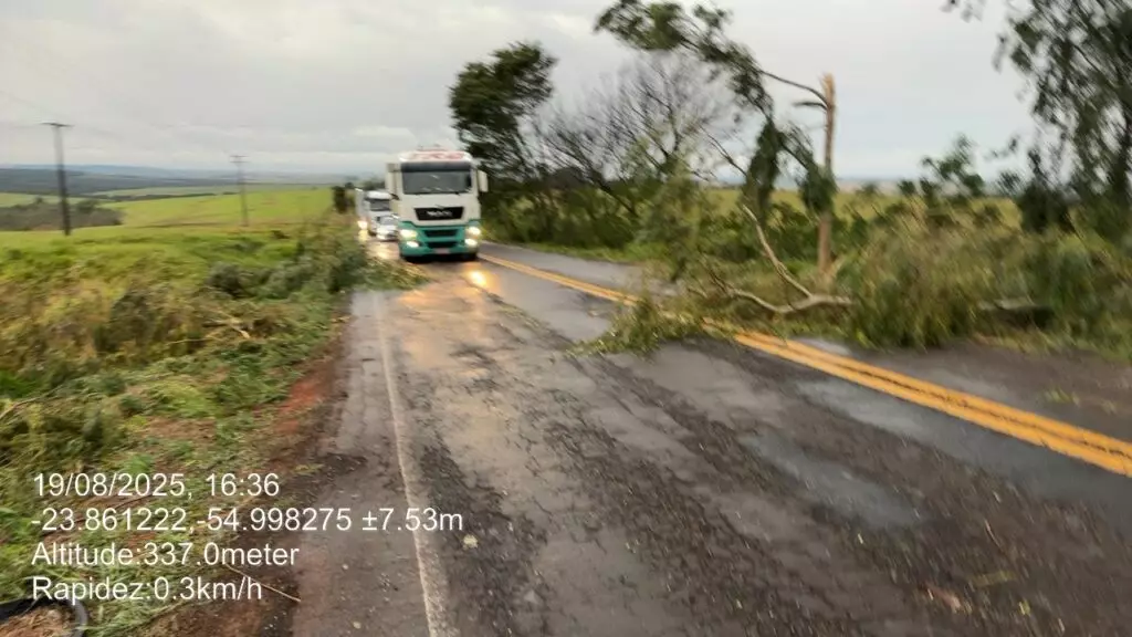 Temporal causa danos no Cone Sul: Árvores caíram sobre rodovias e Agesul pede atenção dos motoristas