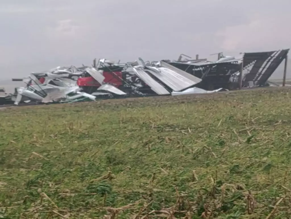 Temporal causa danos no Cone Sul: Árvores caíram sobre rodovias e Agesul pede atenção dos motoristas