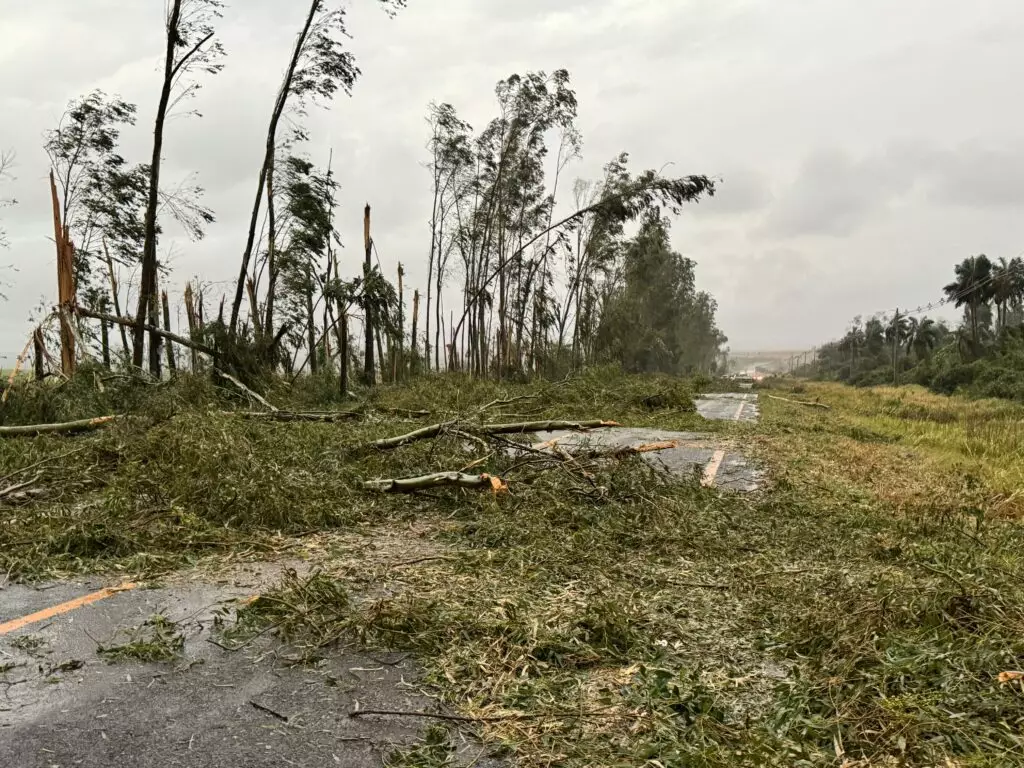 Temporal causa danos no Cone Sul: Árvores caíram sobre rodovias e Agesul pede atenção dos motoristas