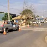 Ventania derruba árvore e danifica estrutura pública em Amambai