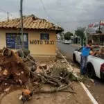 Ventania derruba árvore e danifica estrutura pública em Amambai