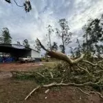Prefeitura de Paranhos dá suporte e socorro após temporal afetar diversas propriedades rurais e comunidade indígena